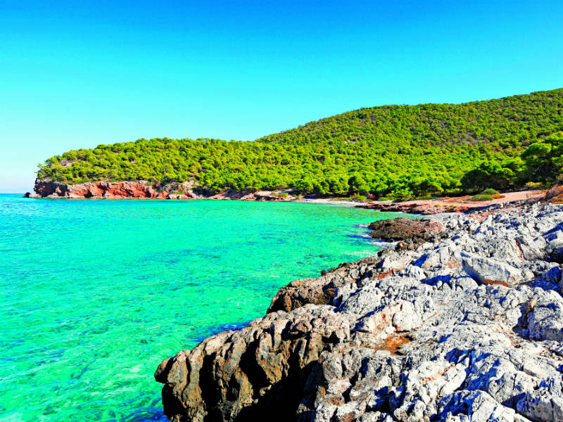agkistri-paralies-info